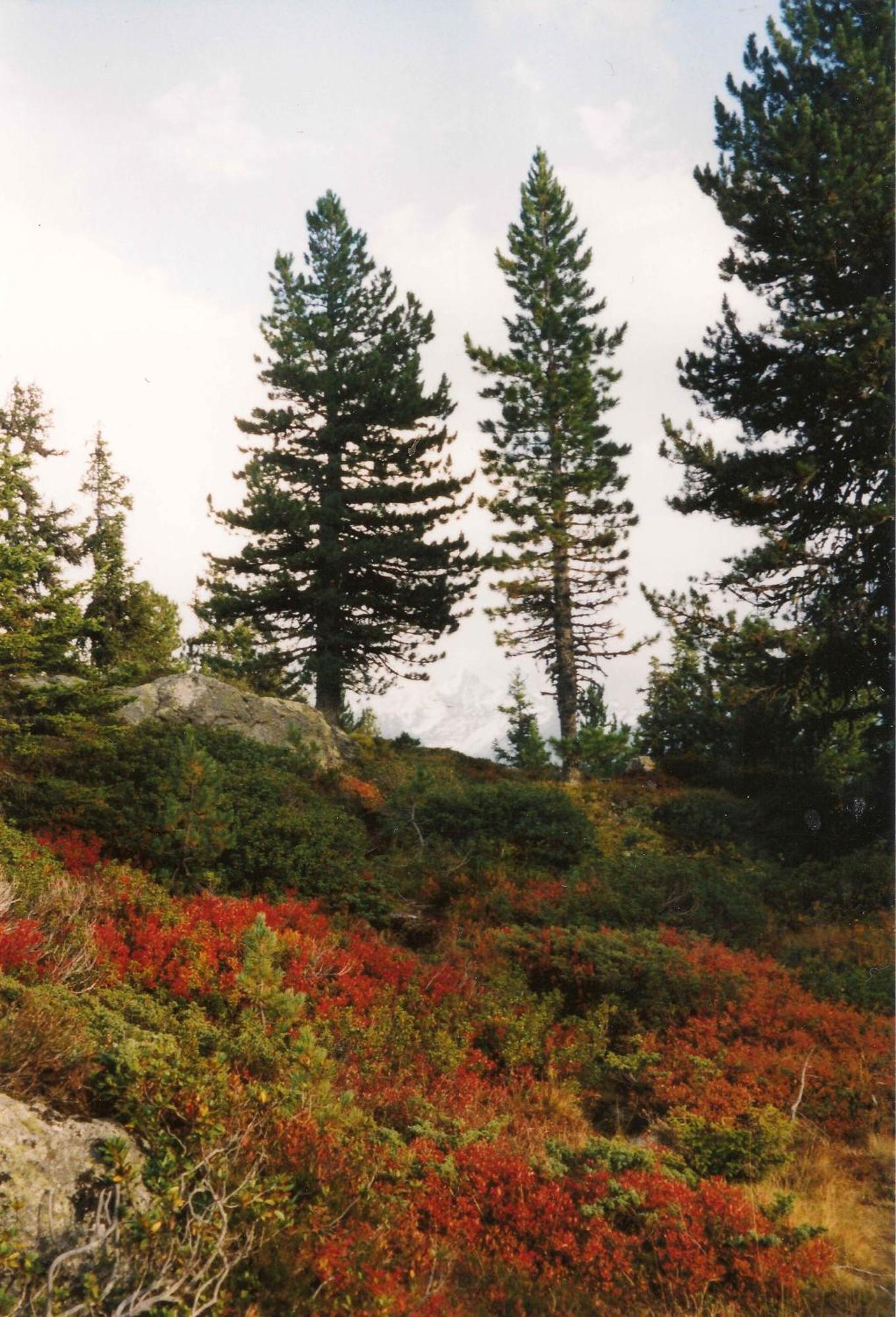 Apart Panoramablick Kaunerberg Dış mekan fotoğraf