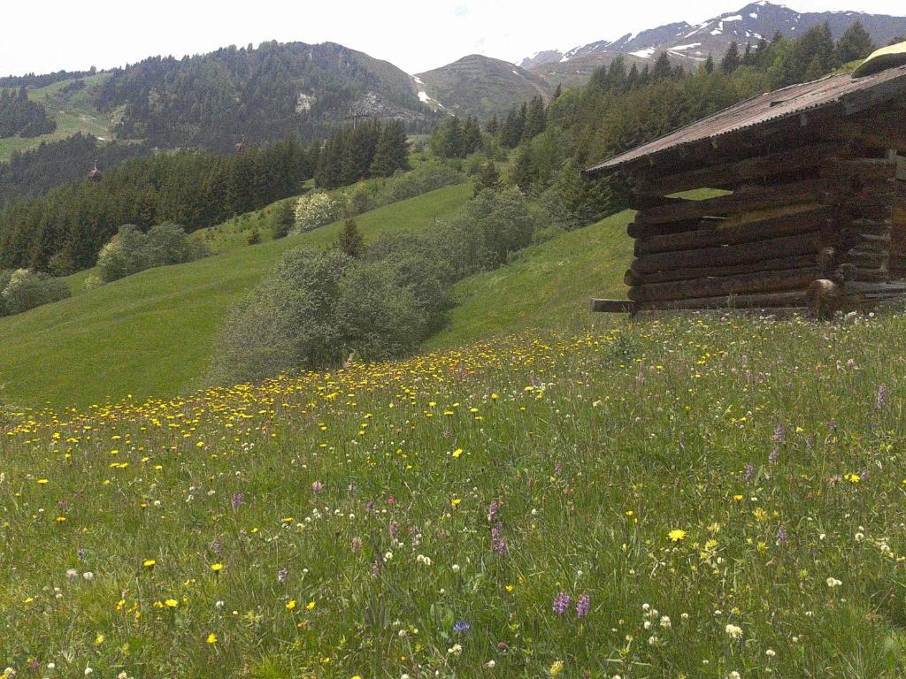 Apart Panoramablick Kaunerberg Dış mekan fotoğraf